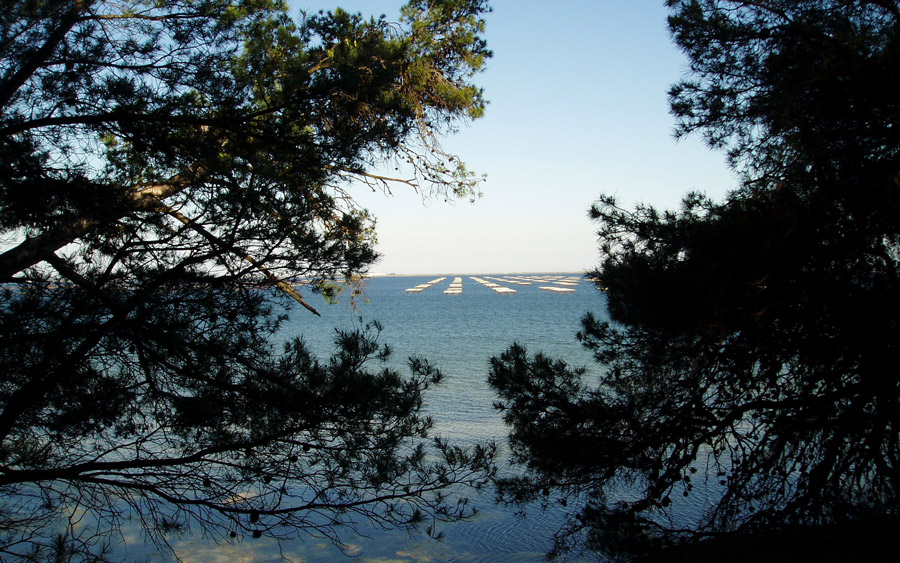 Vue sur l'étang de Thau